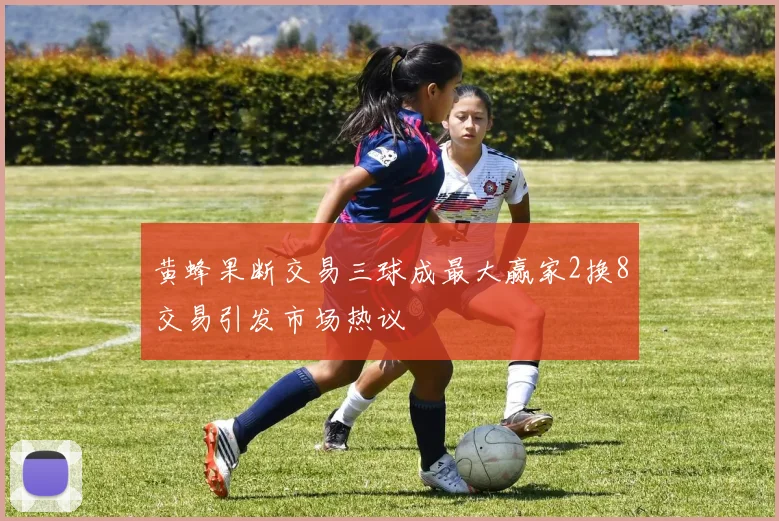 黄蜂果断交易三球成最大赢家2换8交易引发市场热议